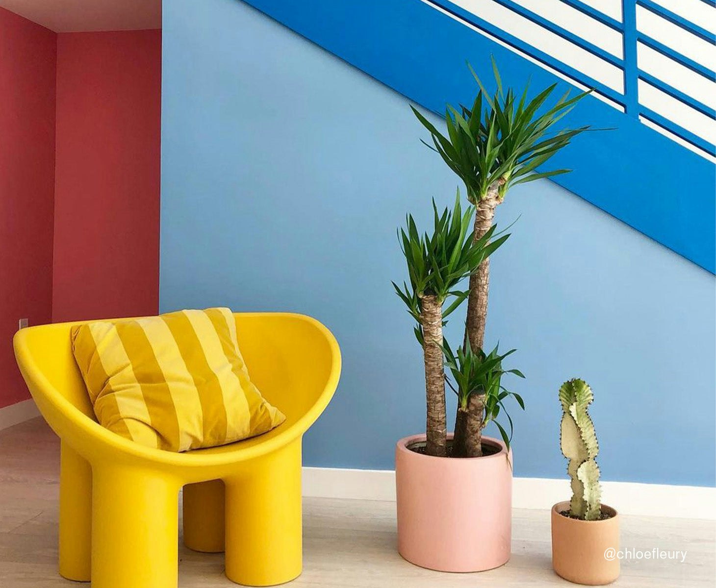Interior Paint Bold Semi-Gloss Paint