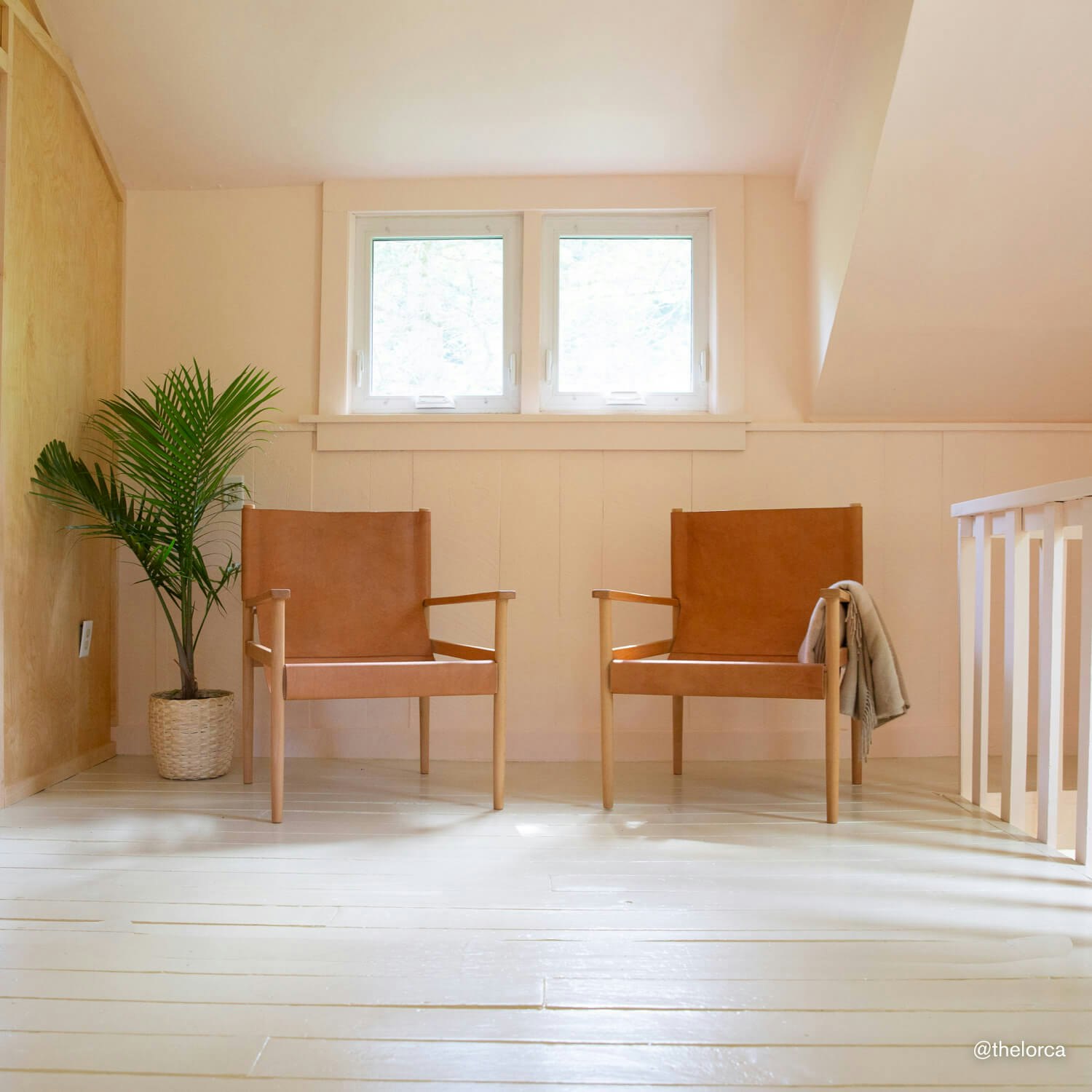 HARAJUKU MORNING in Interior Standard finish painted on living room walls HARAJUKU MORNING in Interior Standard finish painted on living room walls